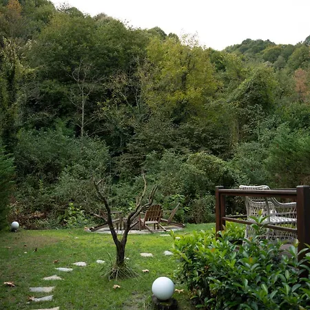 Oezlifesapanca Sapanca