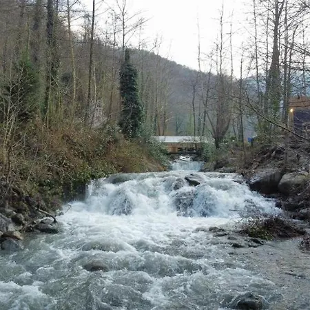 Oezlifesapanca *