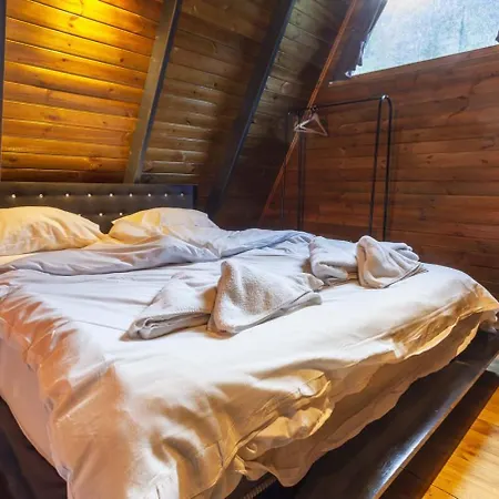 Chalet Oezlifesapanca Sapanca